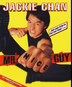 Mr. Nice Guy (1997) movie poster download